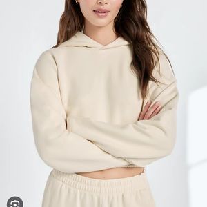 Aritzia Babton Cropped Hoodie